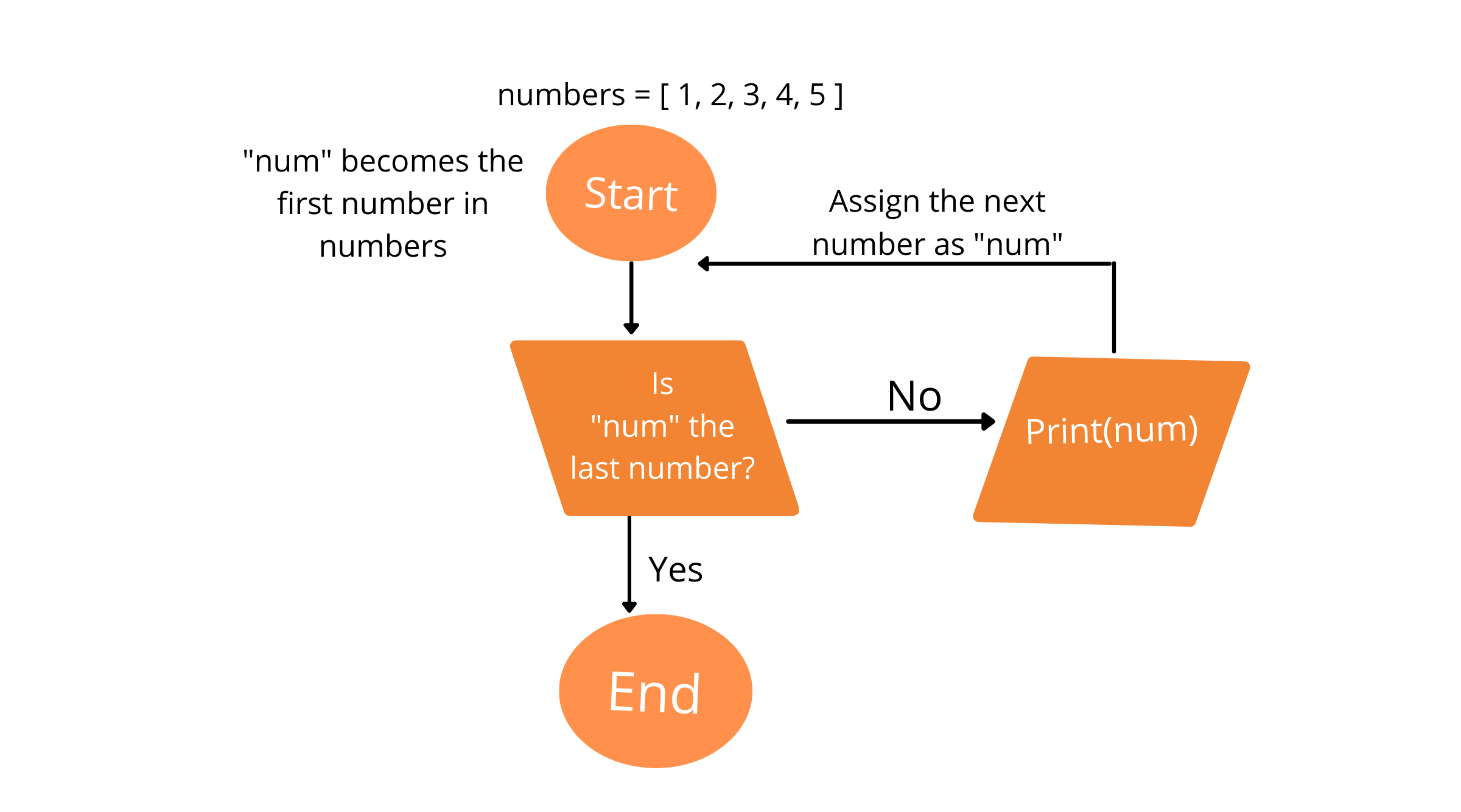 Java For Loop - Study Experts